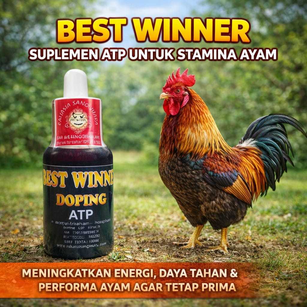 Best Winner Doping ATP Ayam Aduan 15ml - Amunisi Tambahan Untuk Ayam Petarung
