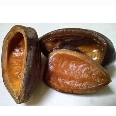 Tempurung Kacang Kenari, Batok Kenari, Cangkang kacang Kenari
