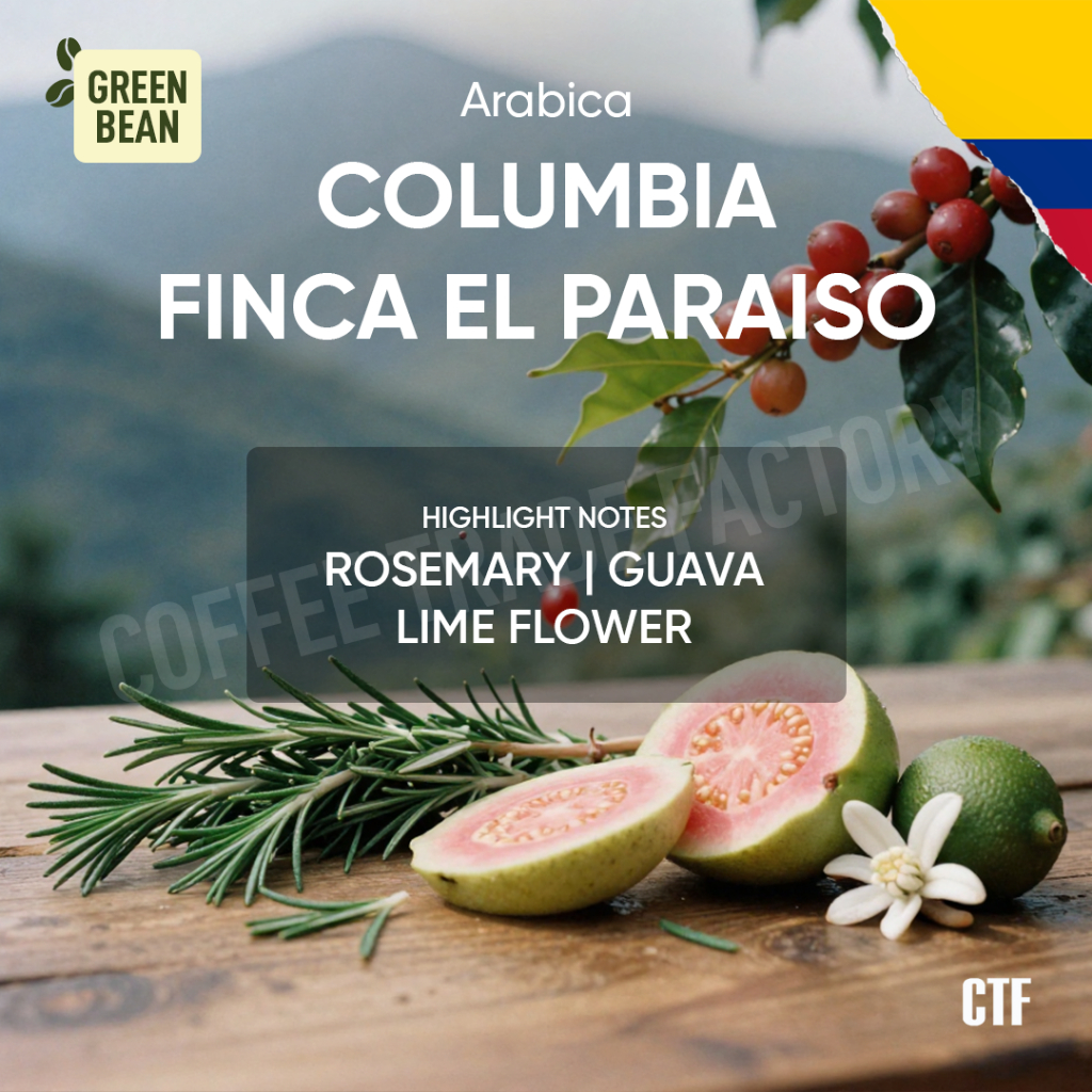 Green Beans Arabika Colombia Finca El Paraiso / Coffee Trade Factory CTF Biji Kopi Hijau Mentah Arab