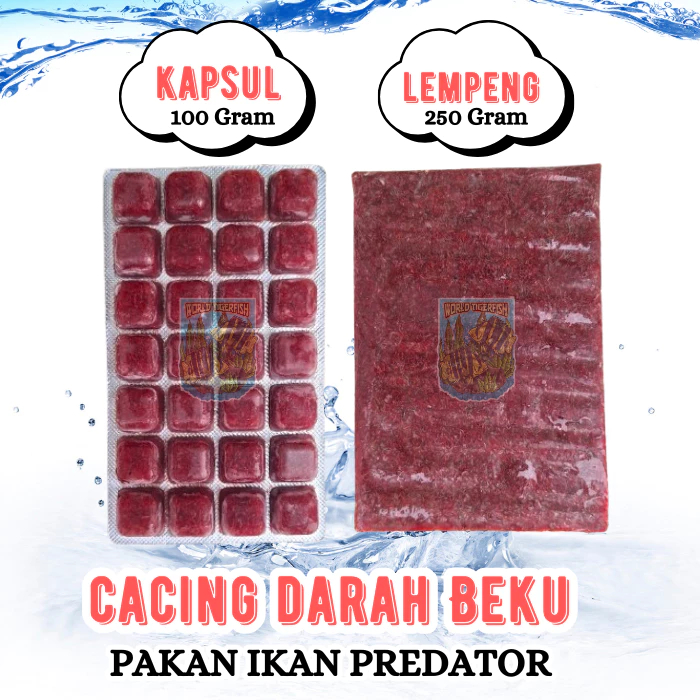 Cacing Darah Beku Bloodworm Fresh Lempengan 1Kg Pakan Ikan Hias