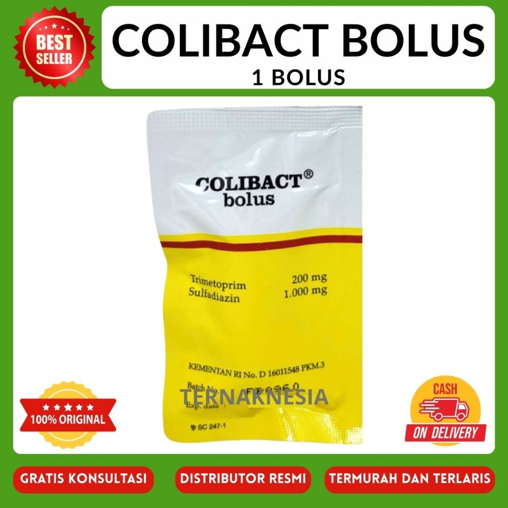 (ECERAN/PER-BOLUS) COLIBACT BOLUS - SANBE (1 Bolus)