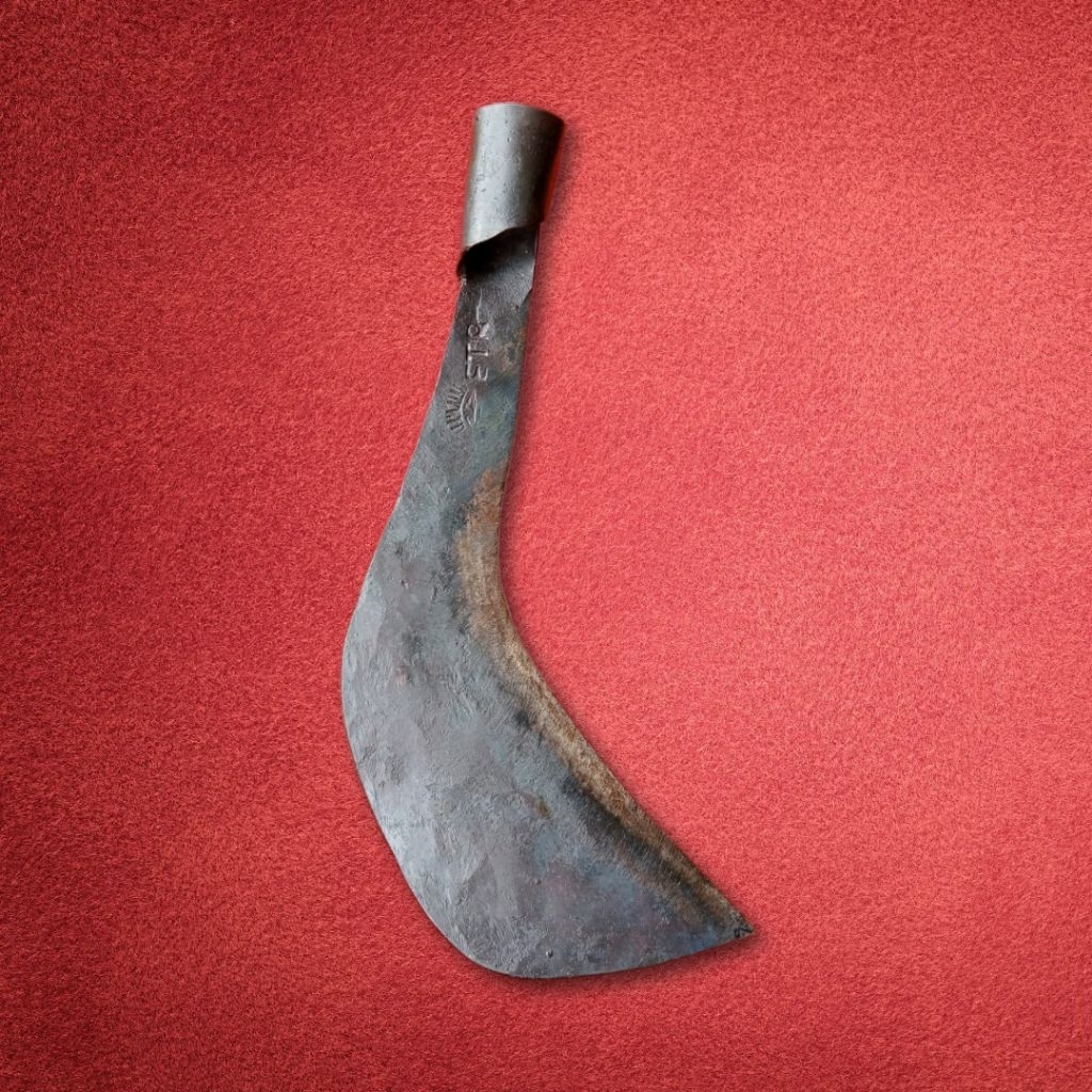 Arit Rumput ETR Cap Mata Asli Original