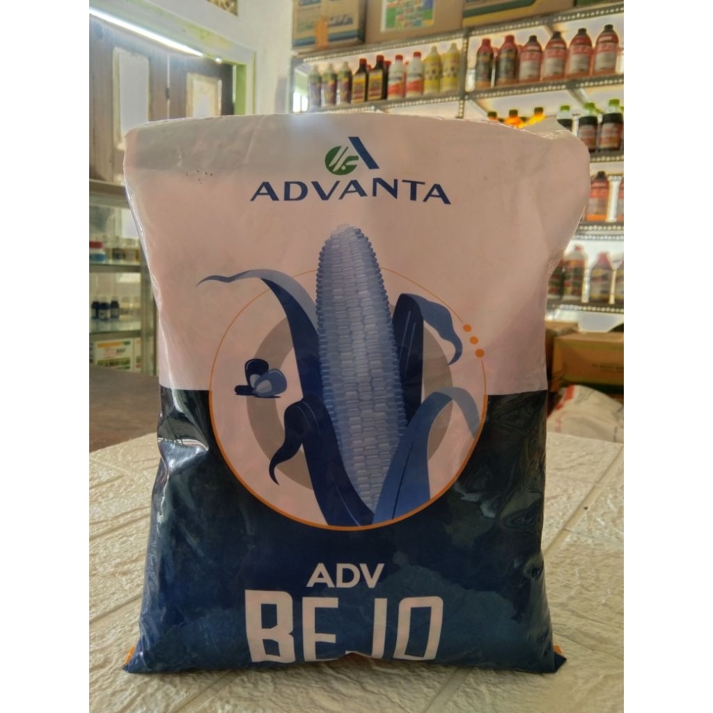 Benih jagung ADV BEJO kemasan 1kg