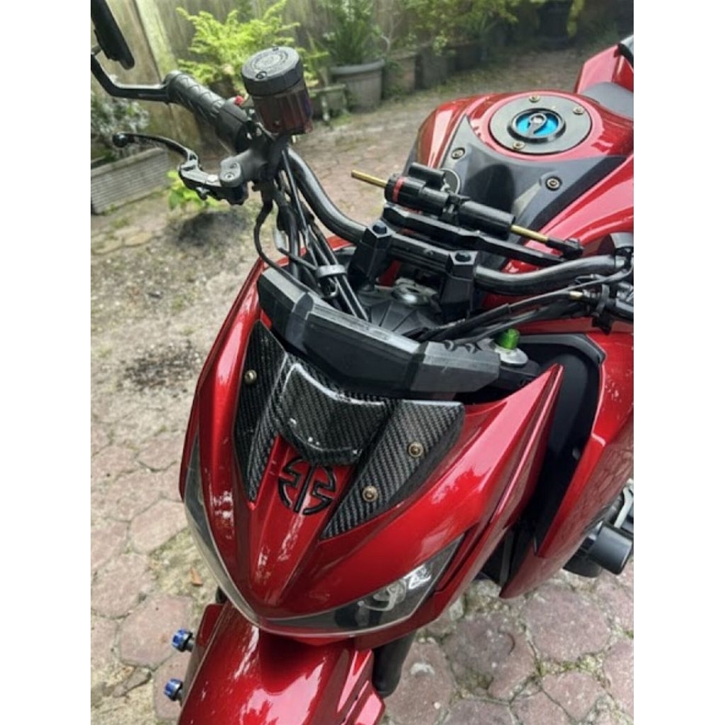 VISOR CARBON Z800 KAWASAKI