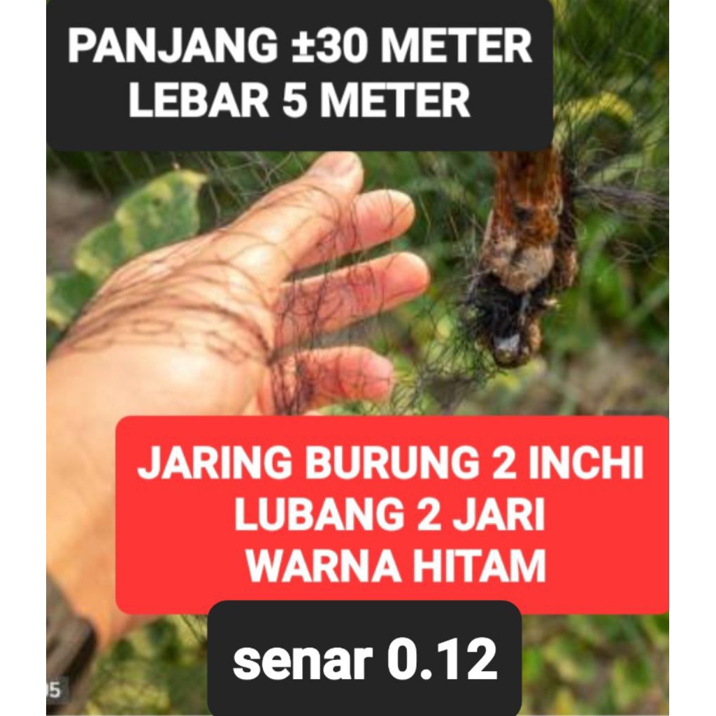 jaring burungsenar 0.12 ukuran 2 inchi panjang±30 meter lebar 5 meter warna hitam asli pabrik jaring