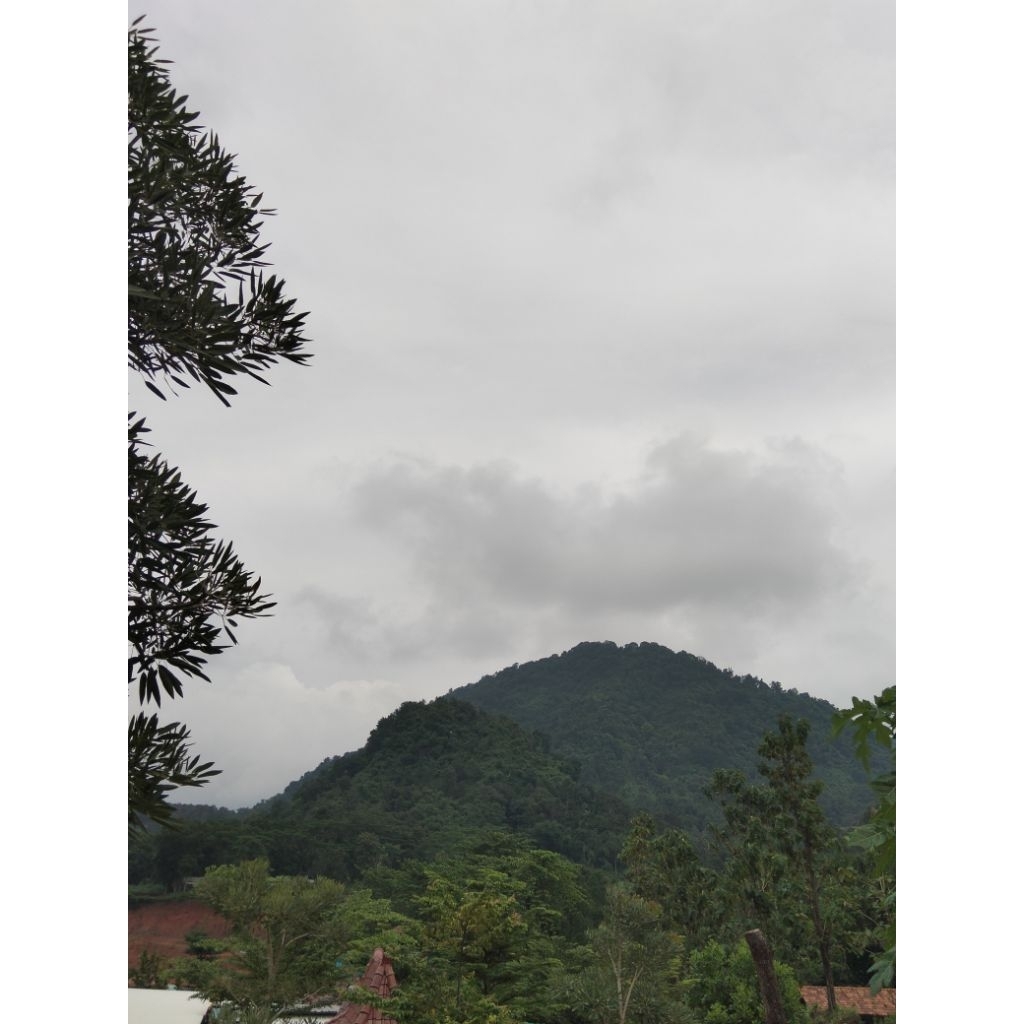 Patung ikan Channa limbata WC rim super tebal 4ekor