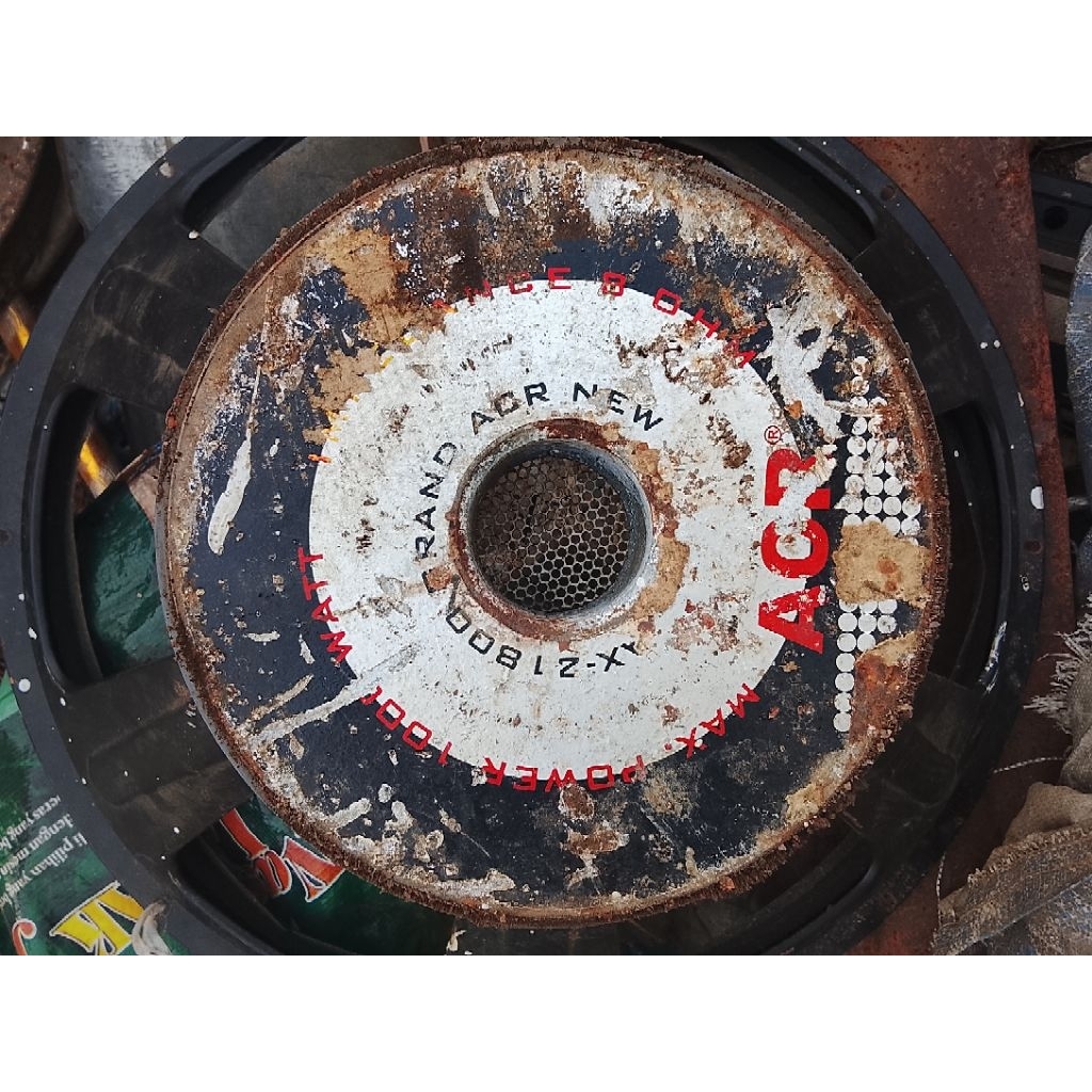 spiker acr new grand ax21800 1000 watt.double magnet