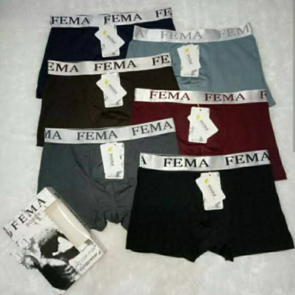 Celana dalam pria “FEMA”