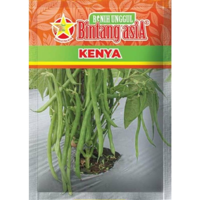 Biji 15 Benih Buncis KENYA