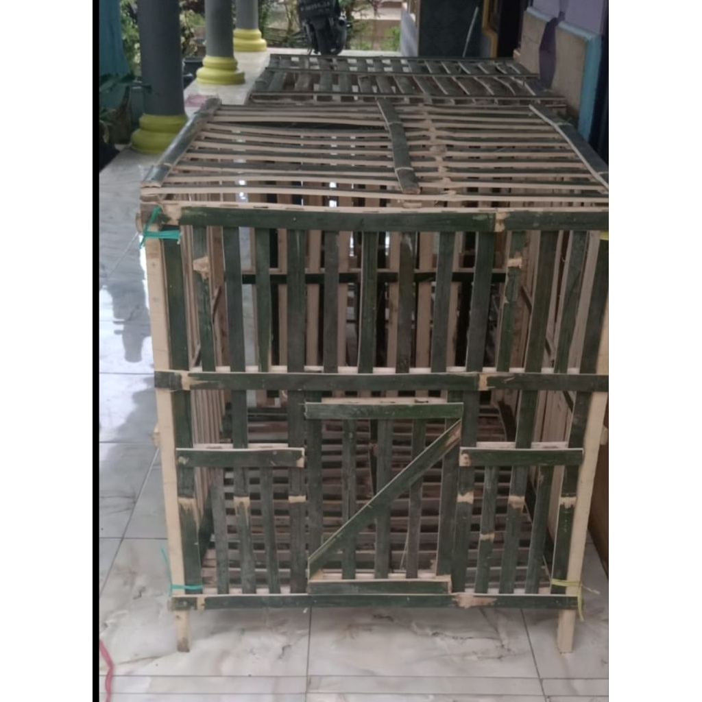 kandang ayam jago bambu duri