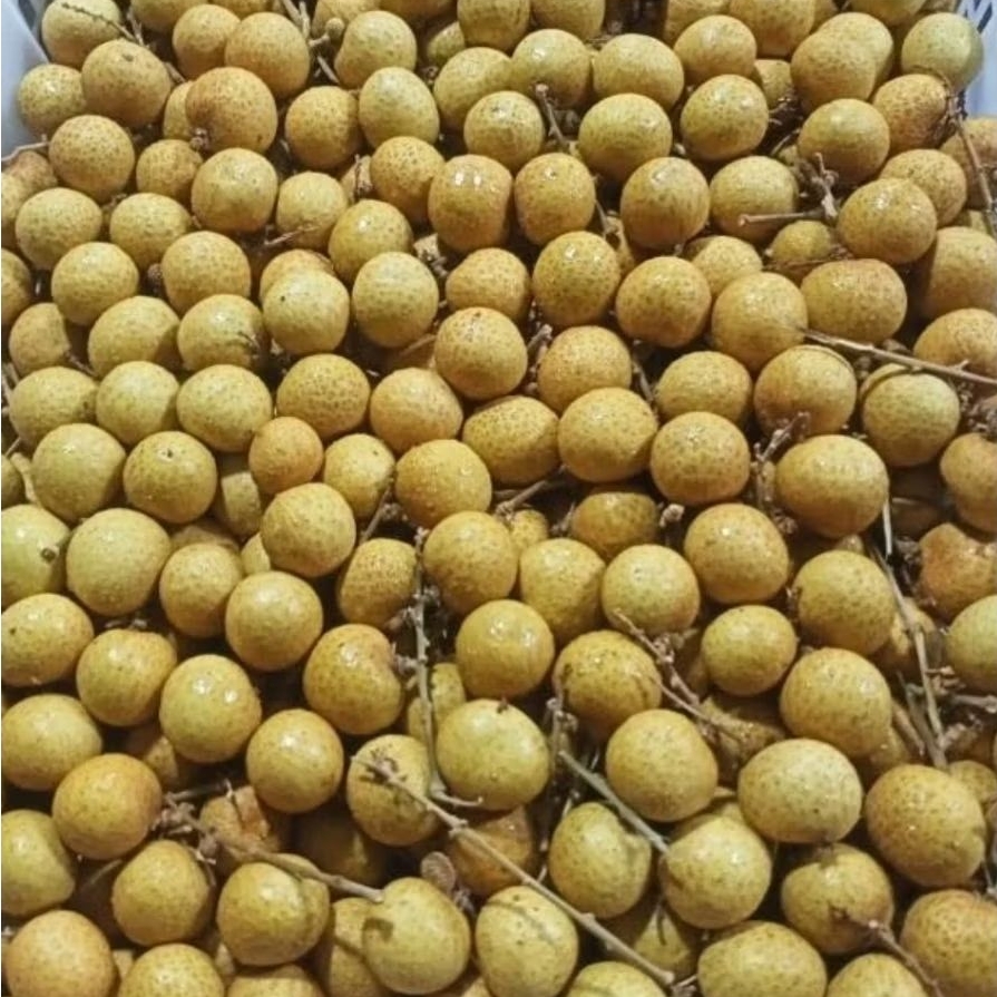 Lengkeng Manis 1 krat 11-12kg