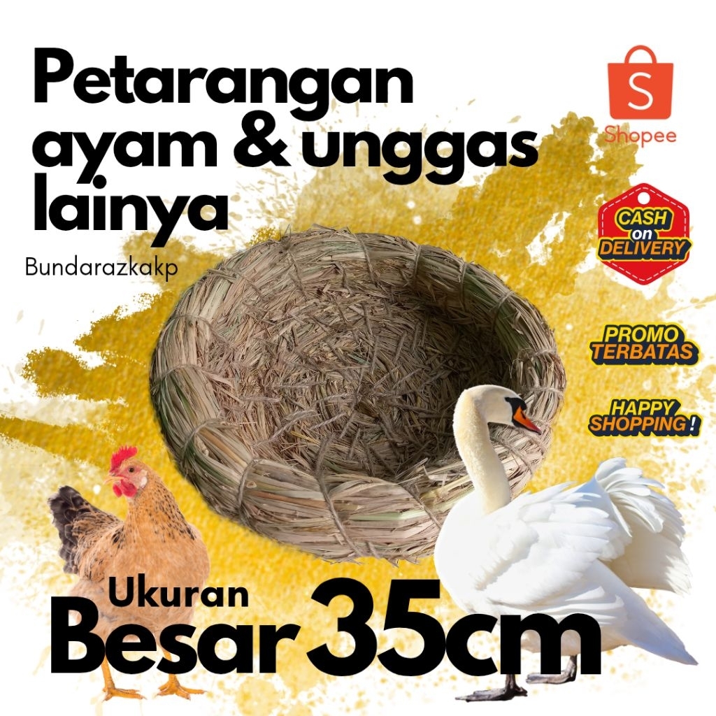 PETARANGAN AYAM KAMPUNG AYAM HIAS PETARANGAN ANGSA PETARANGAN AYAM HIAS PETARANGAN