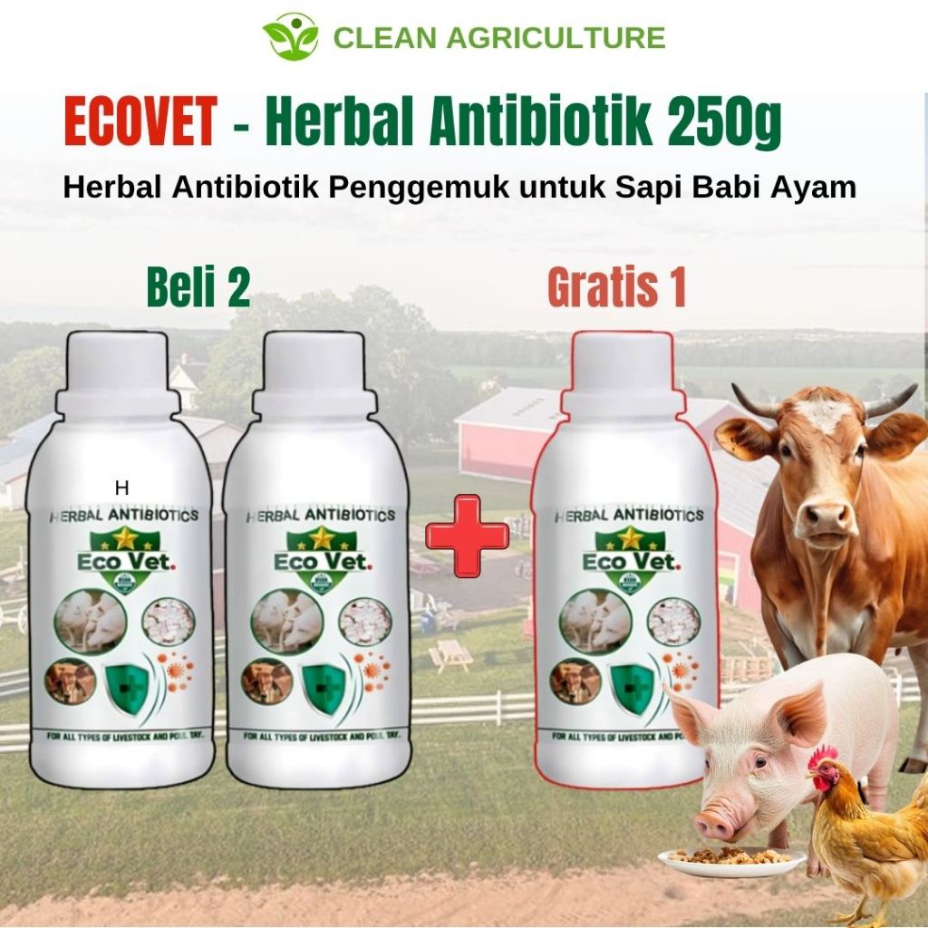 [Beli 2 Gratis 1] Ecovet Vitamin Nutrisi Antibiotik Hewan Ternak Ayam Sapi Kambing Domba Babi