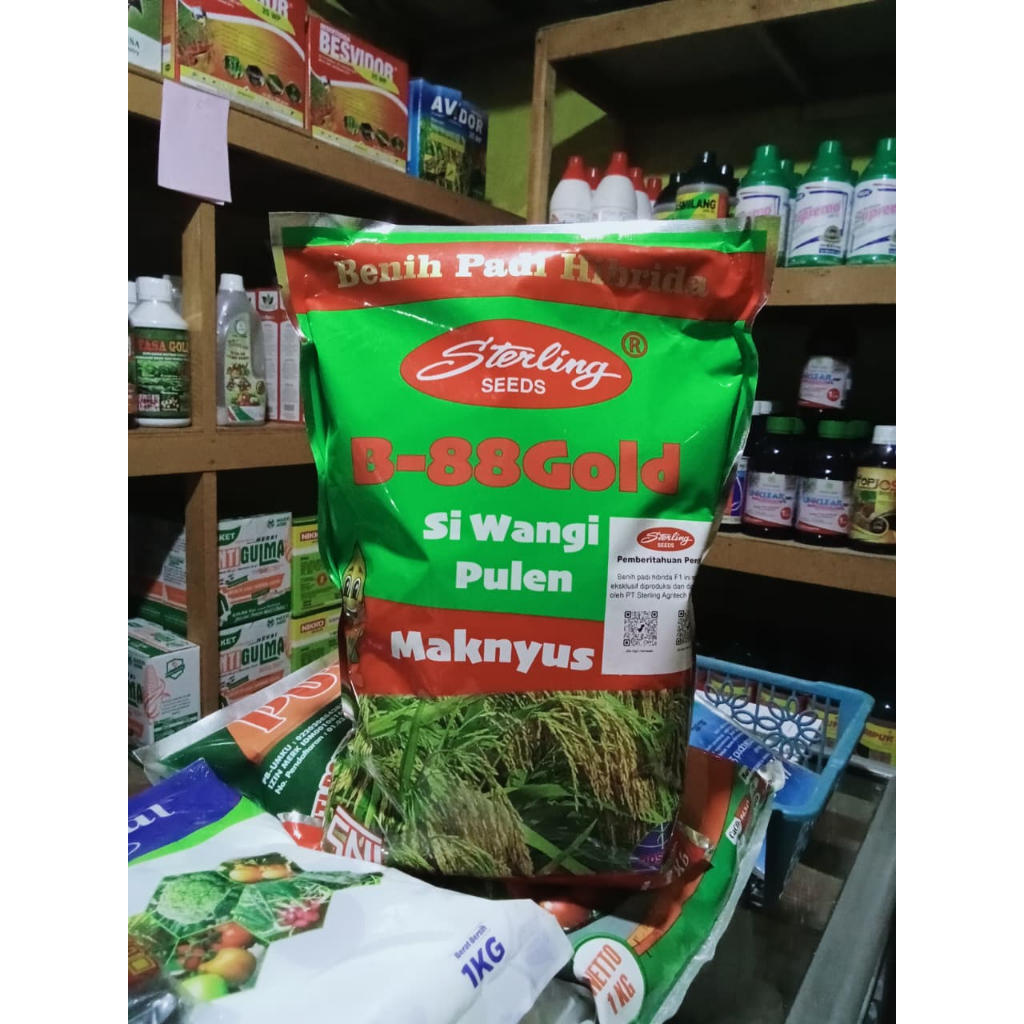 Benih Padi Hibrida Sterling B-88Gold 1 kg