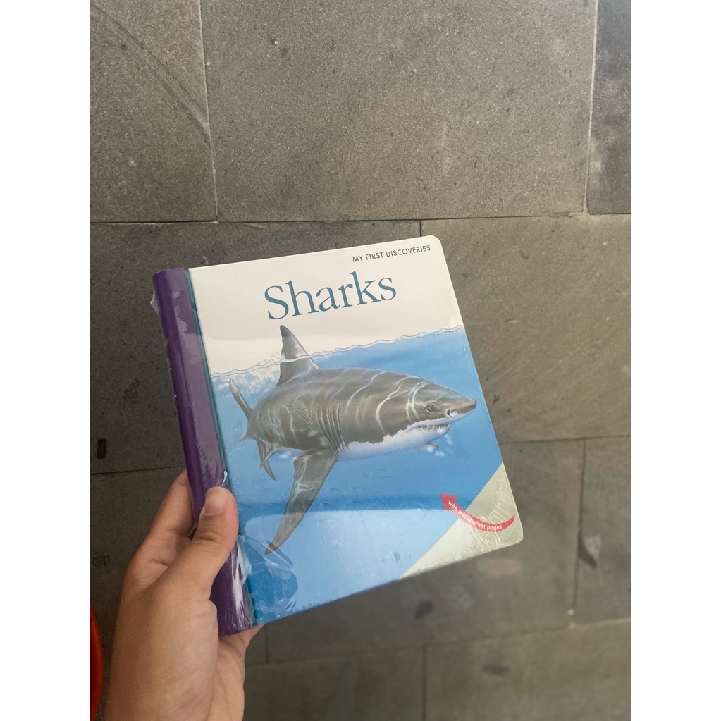 My first discoveries shark
