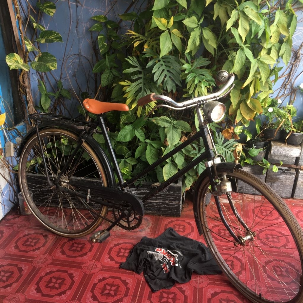 sepeda onthel / Ontel philips size 28