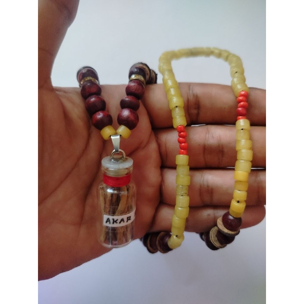 kalung bungkang asli Kalimantan