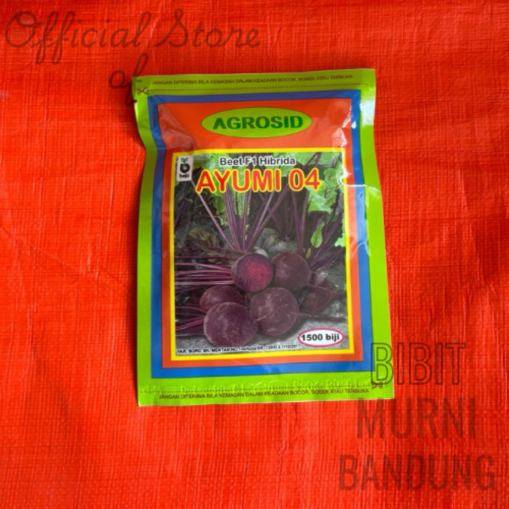 Bibit Beet Agrosid Ayumi