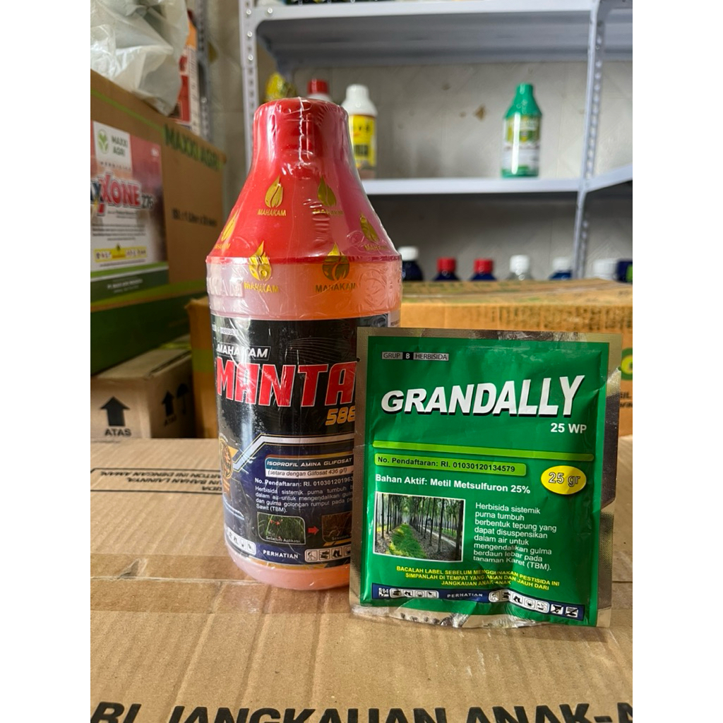 MANTAP  588 SL 1L FREE GRANDALL