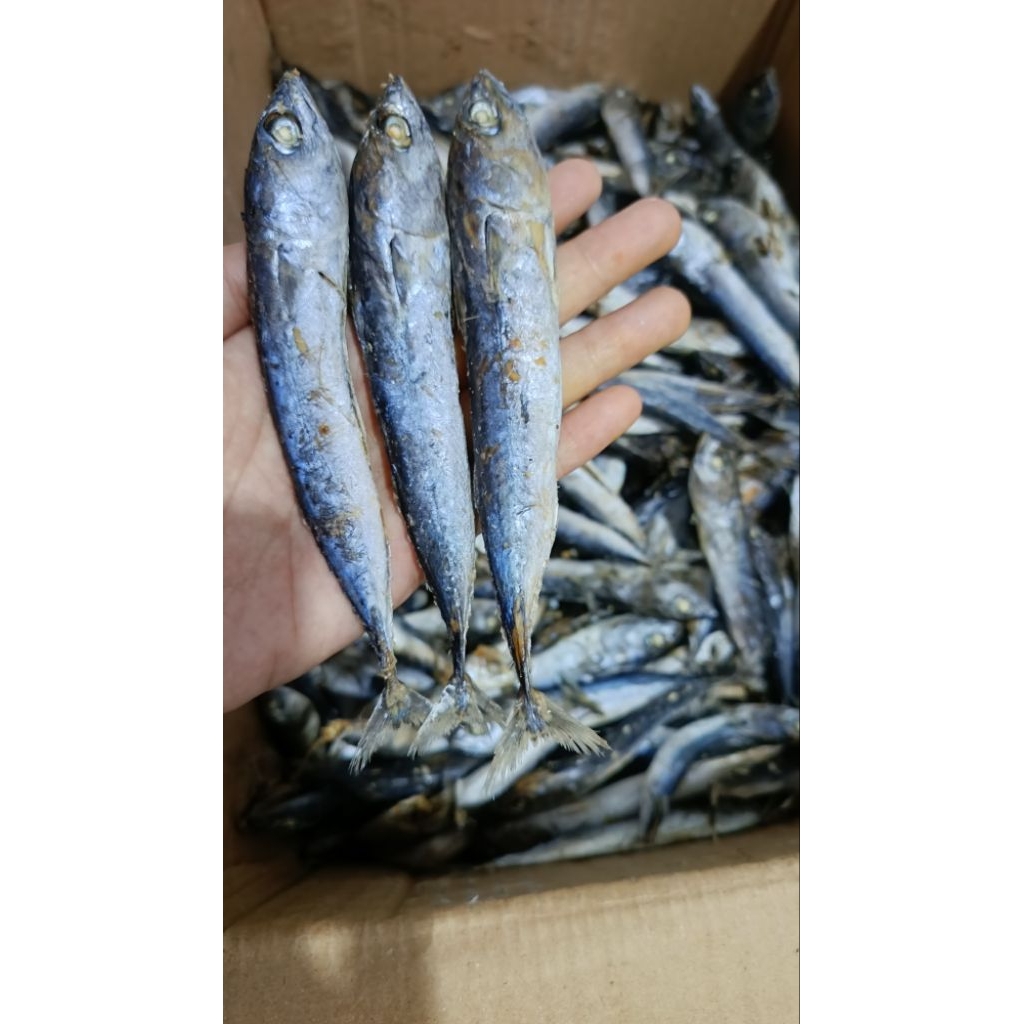 IKAN ASIN TONGKOL REBUS 1 KG