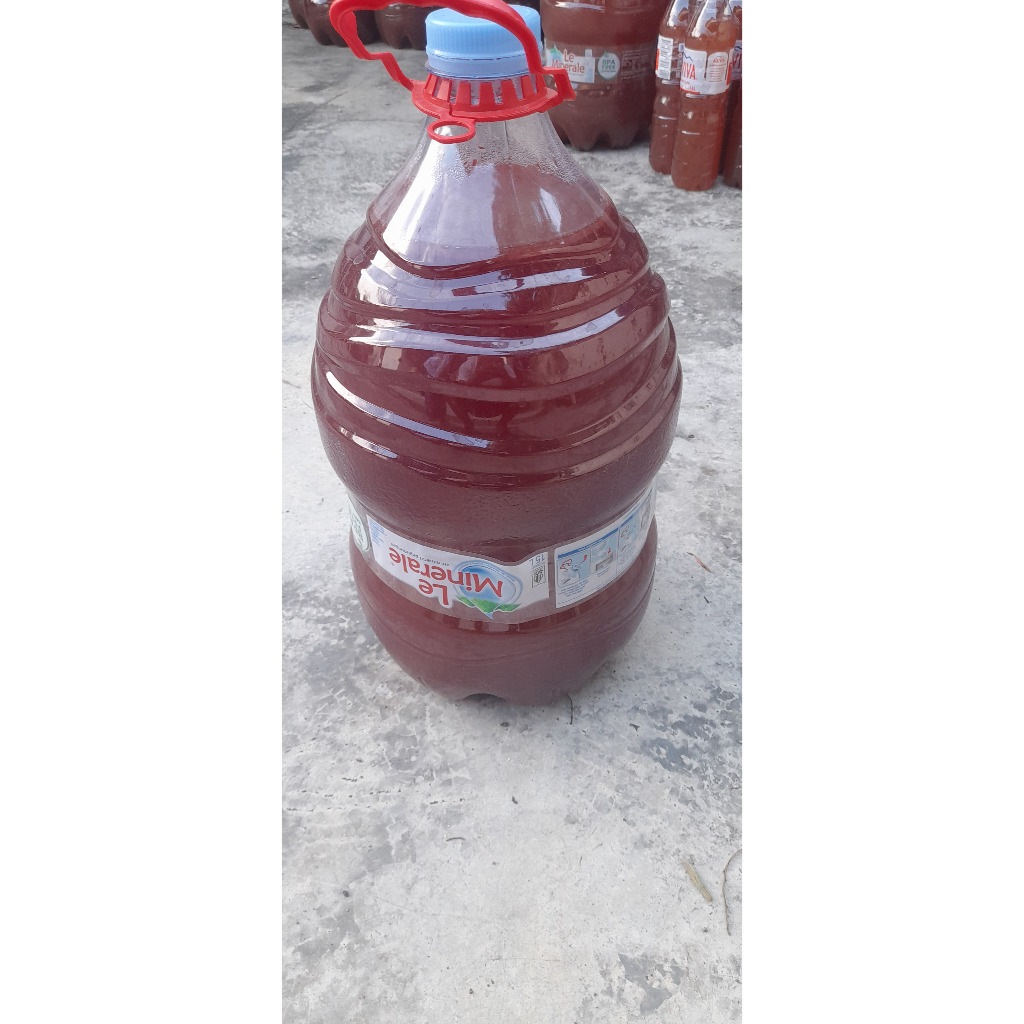 PROMO MURAH 15 Liter !!!! P.O.C. Bacteri Photoshyntetic ( PSB ) Pupuk Organik Cair / Biang PSB / Bia