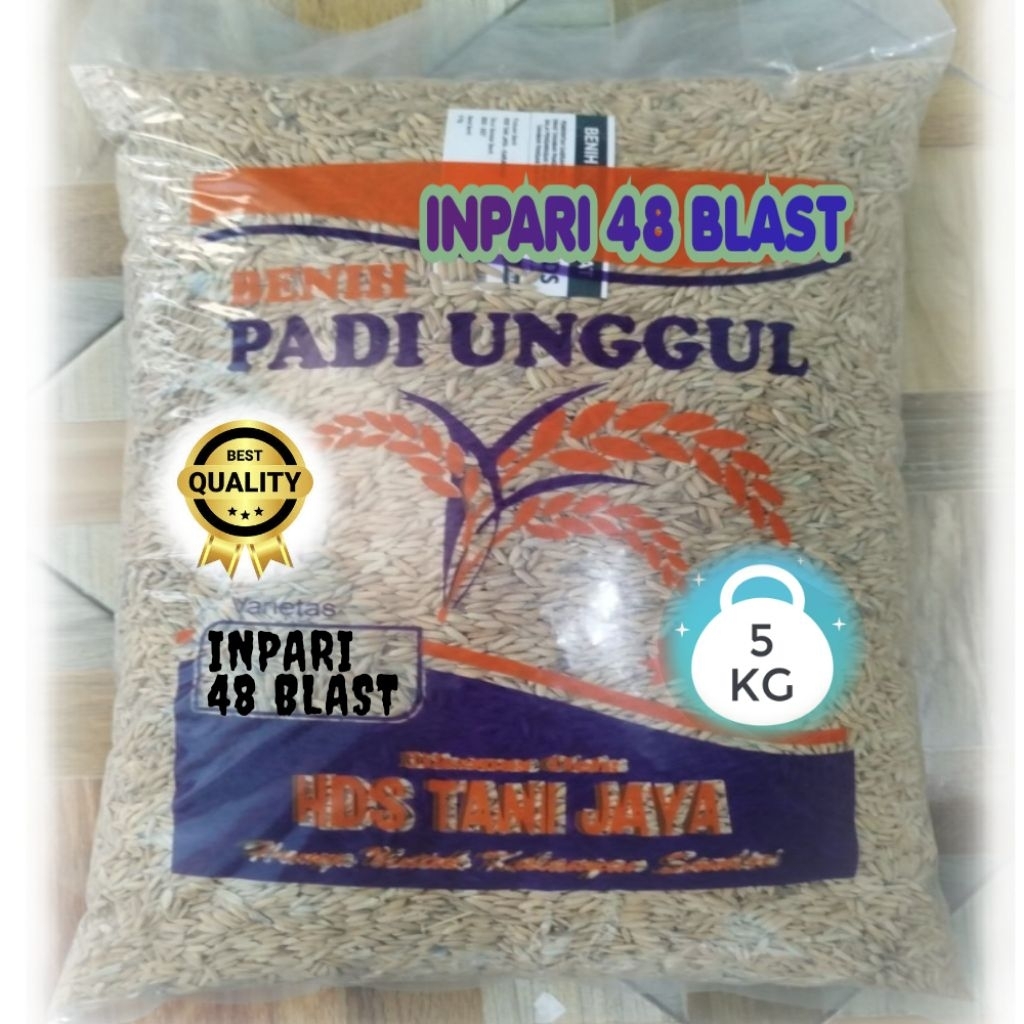 BIBIT PADI VARIETAS INPARI 48 BLAST KEMASAN 5KG