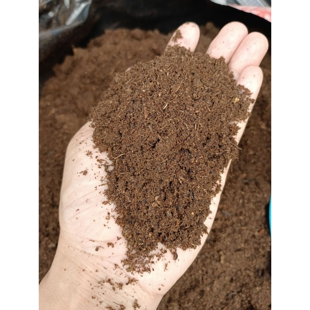 Media Tanam Peat Moss