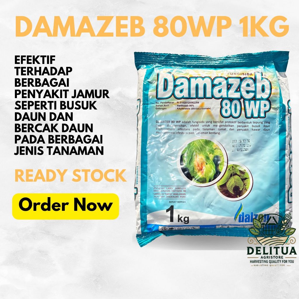 Fungisida DAMAZEB 80 WP 1KG