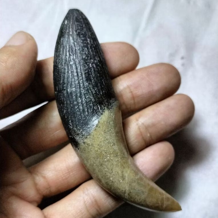 Patung batu bentuk tarcan unik