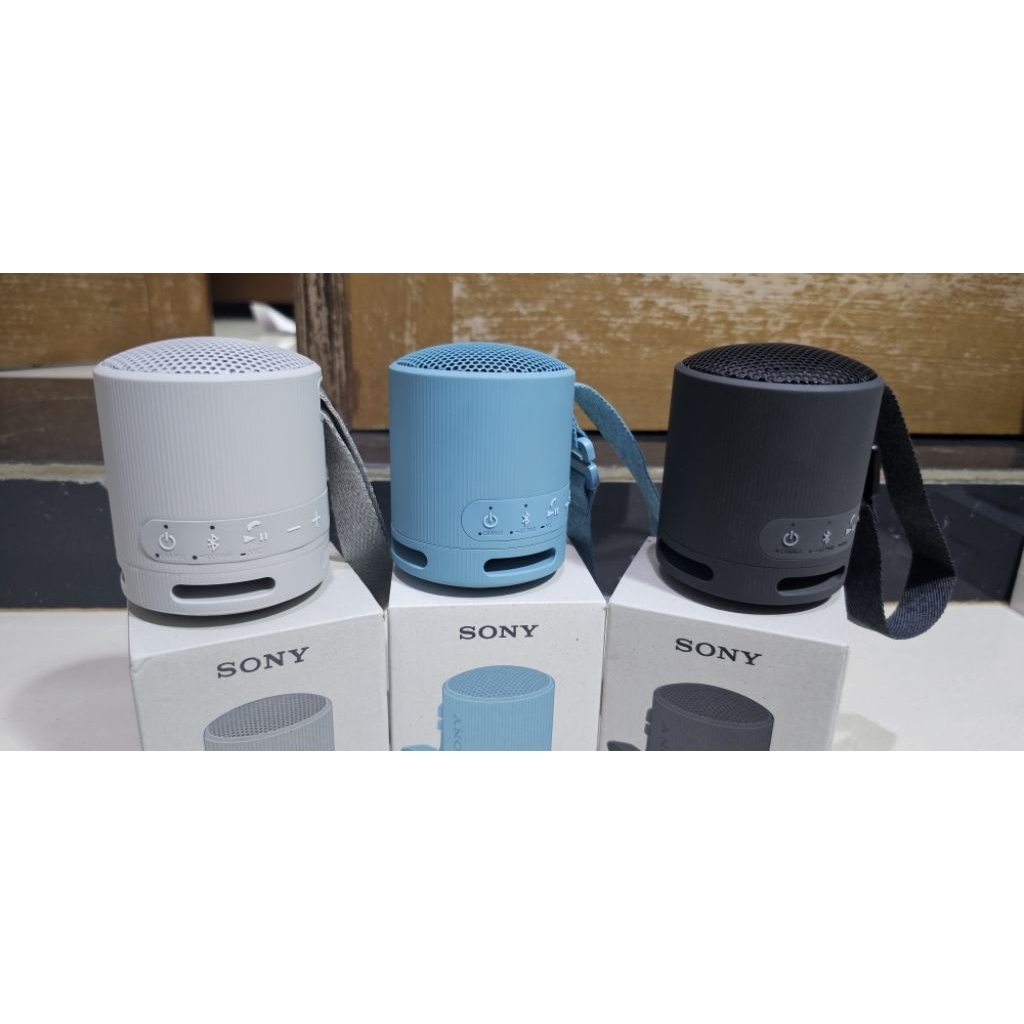 Speaker Portable Sony XB100