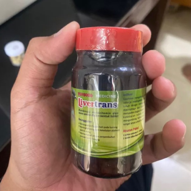 LIVERTRANS TOPSONG ASLI PABRIK KLATEN