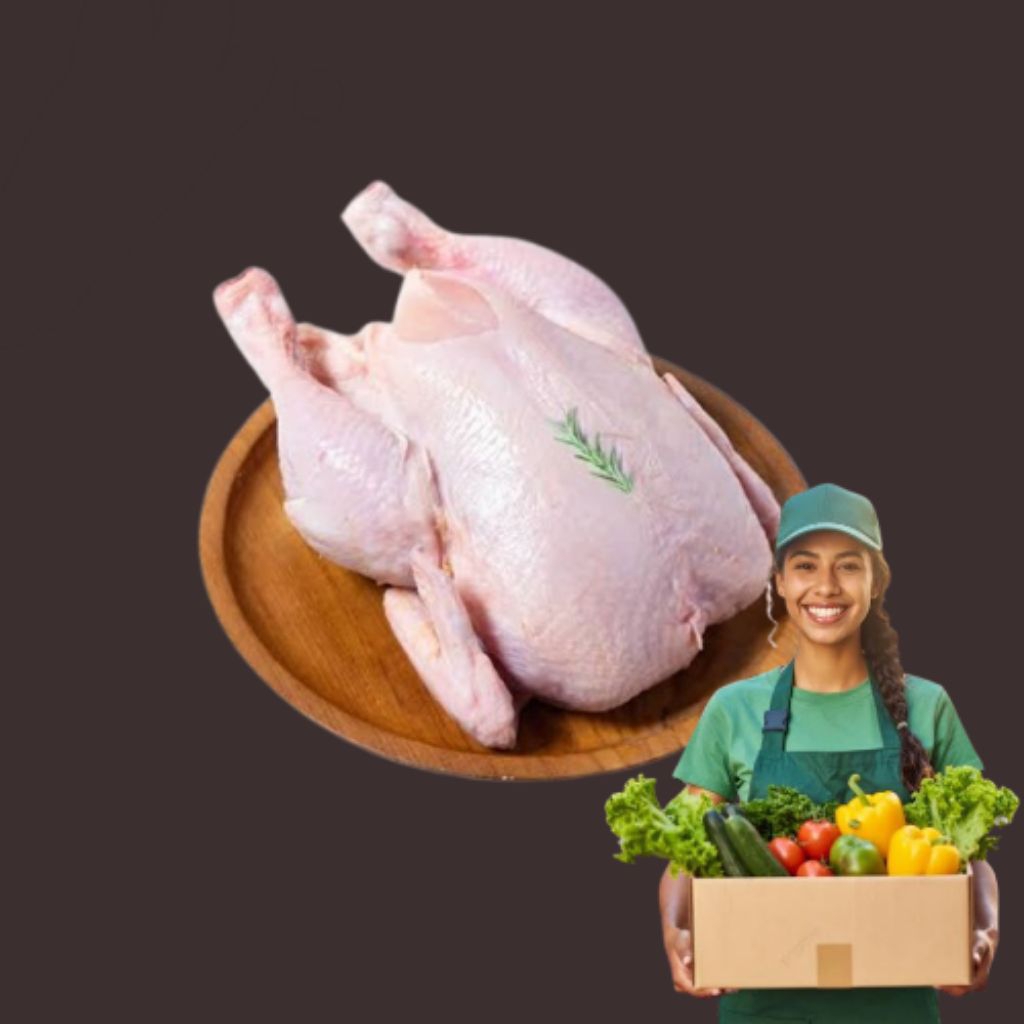 AYAM POTONG BROILER / AYAM DAGING SEGAR HALAL