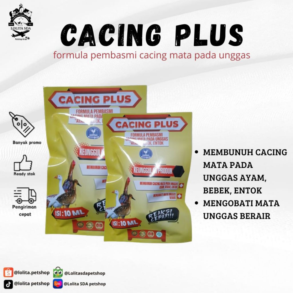 Obat cacing mata ayam cacing plus obat tetes mata ayam sawung jalu