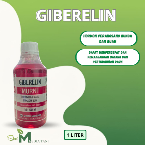 Giberelin 1 Liter untuk Mempercepat Bunga dan Buah Secara Alami
