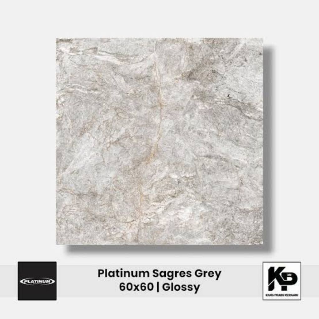 Platinum Keramik 60x60 motif glossy