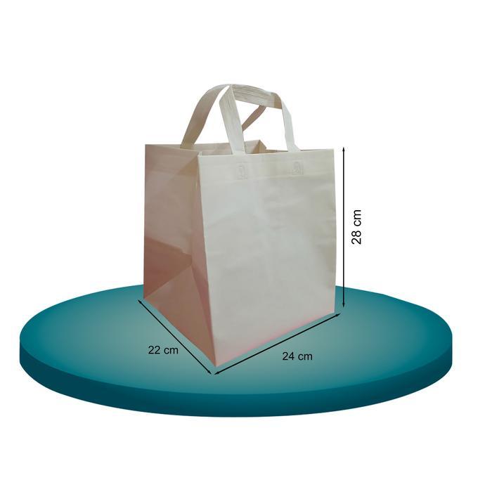 Tas Box Ukuran 24x28x22 (isi 12pcs)