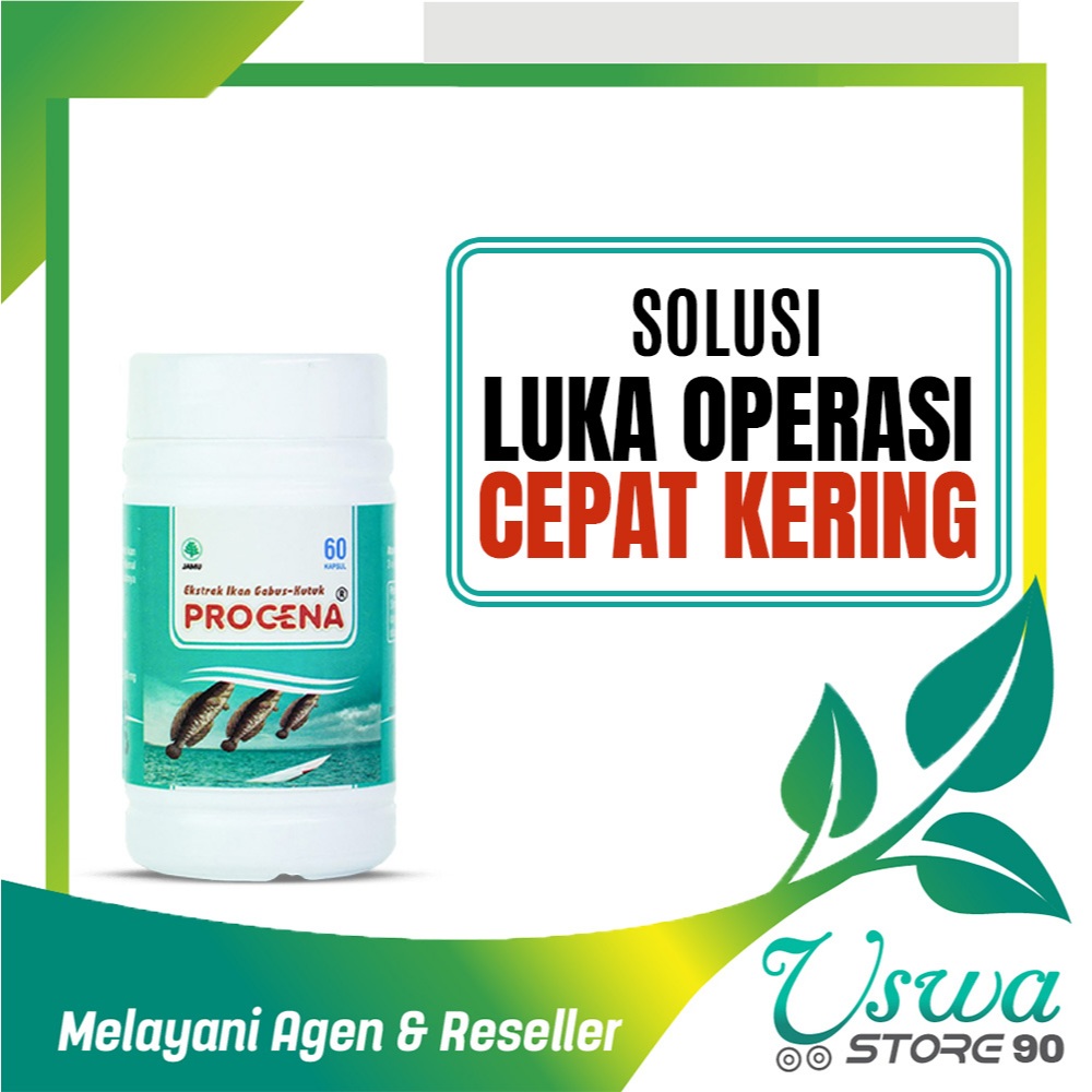 KAPSUL IKAN GABUS KUTUK PROCENA Original Obat Luka Operasi Luka Diabetes Luka Bakar BPOM 60kapsul