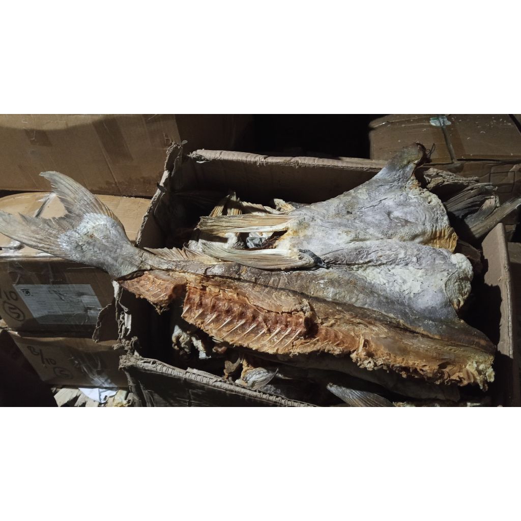 tulang ikan asin jambal