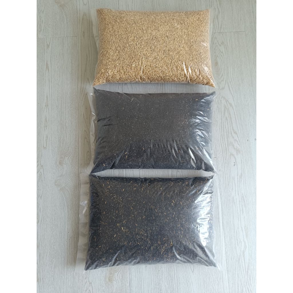 SEKAM PADI/ABU SEKAM KERING/SEKAM KOHE HARGA TERJANGKAU