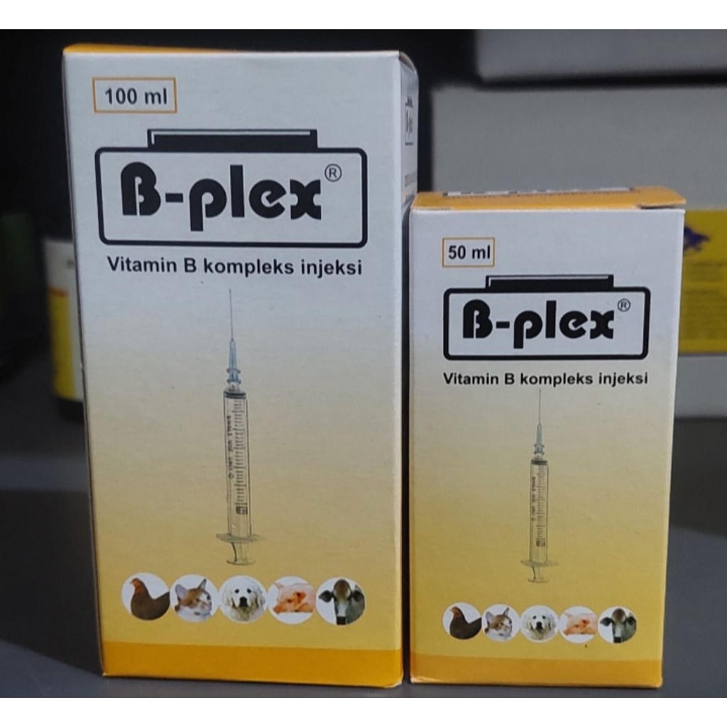 B-PLEX (Vitamin B Complex untuk ternak )