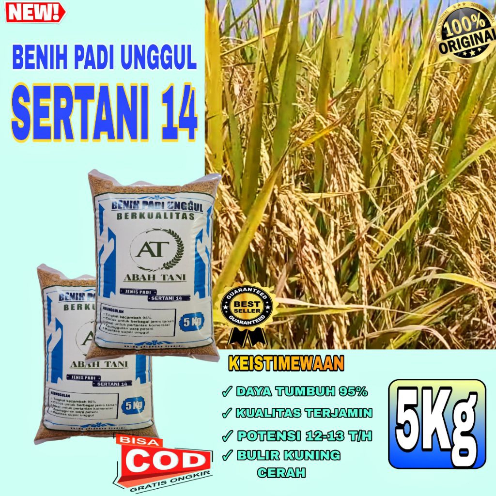 BENIH PADI SERTANI 14 KEMASAN 5KG BIBIT PADI UNGGUL