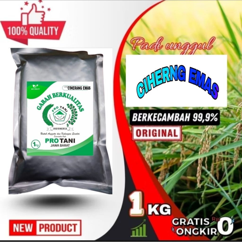 COD 1KG BENIH PADI SUPER UNGGUL JUMBO CIHERANG EMAS ORIGINAL LABEL PUTIH