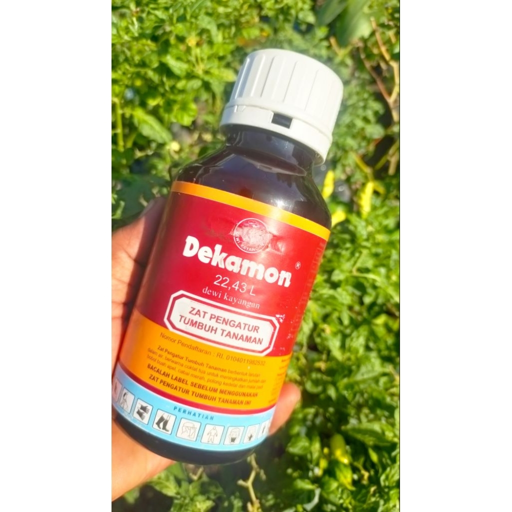 Dekamon 500ml