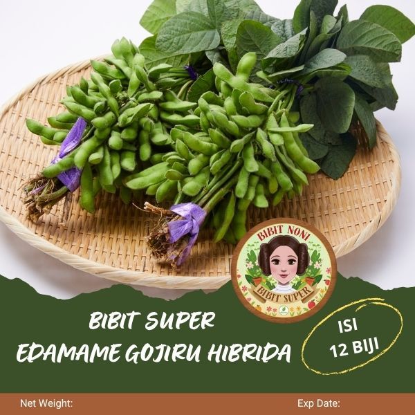 Bibit Super Edamame Gojiru Hibrida | Biji Benih Edamame Hibrida