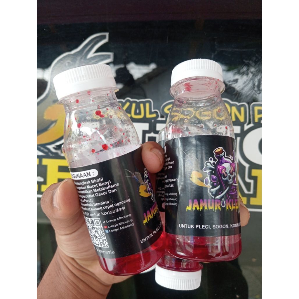Jamur Kletong (Doping Sogon Dosis Tinggi)