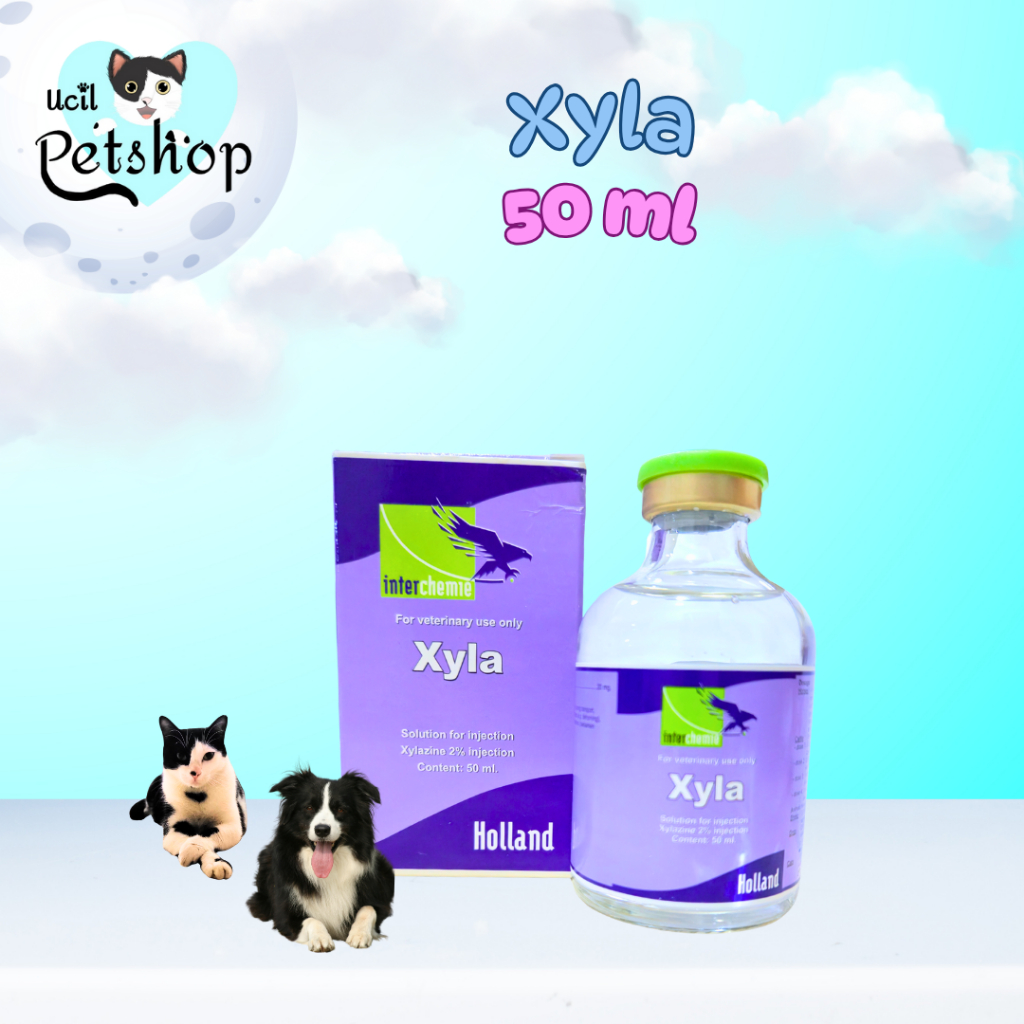 Xyla Holland Interchemie 50ml