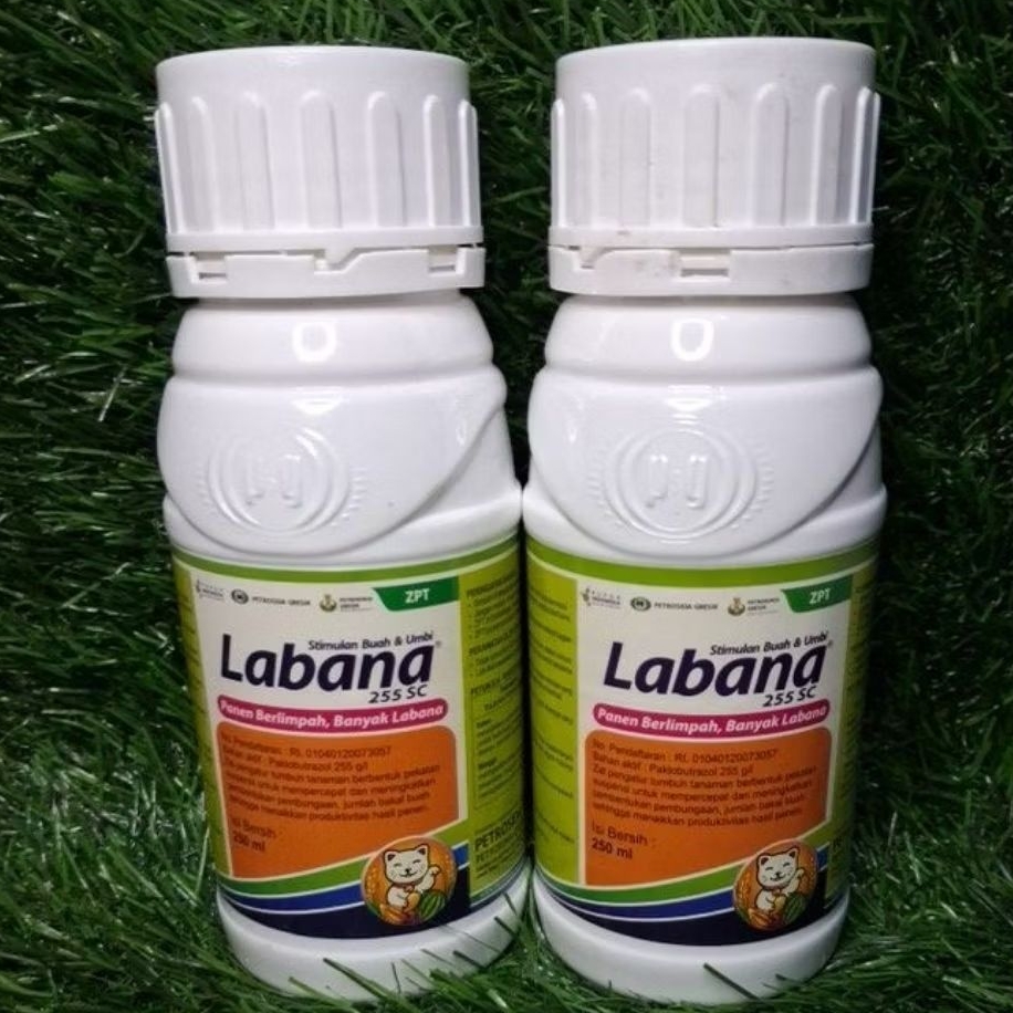 Spesial.pembesar buah dan umbi,pembobot padi LABANA 255  SC.kemasan 250ml.