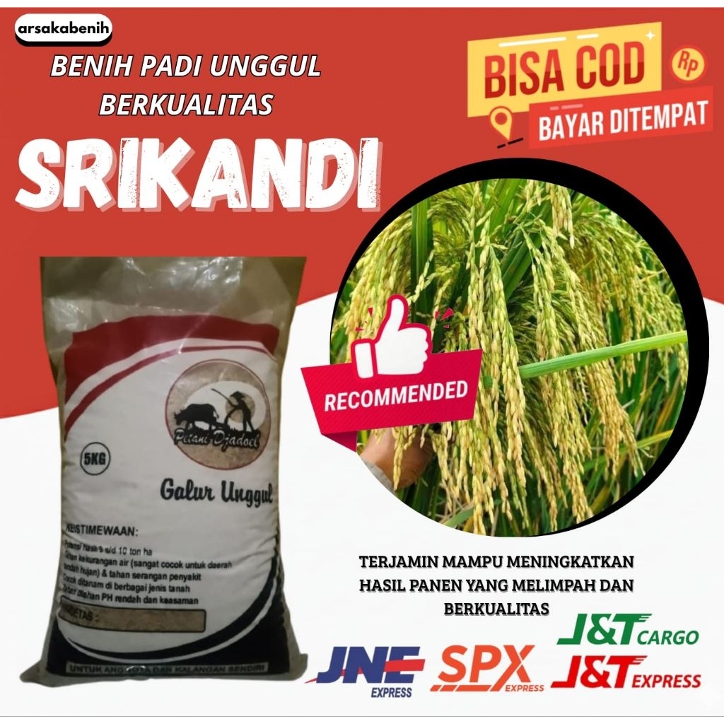 BENIH PADI UNGGUL BERKUALITAS SRIKANDI 5kg
