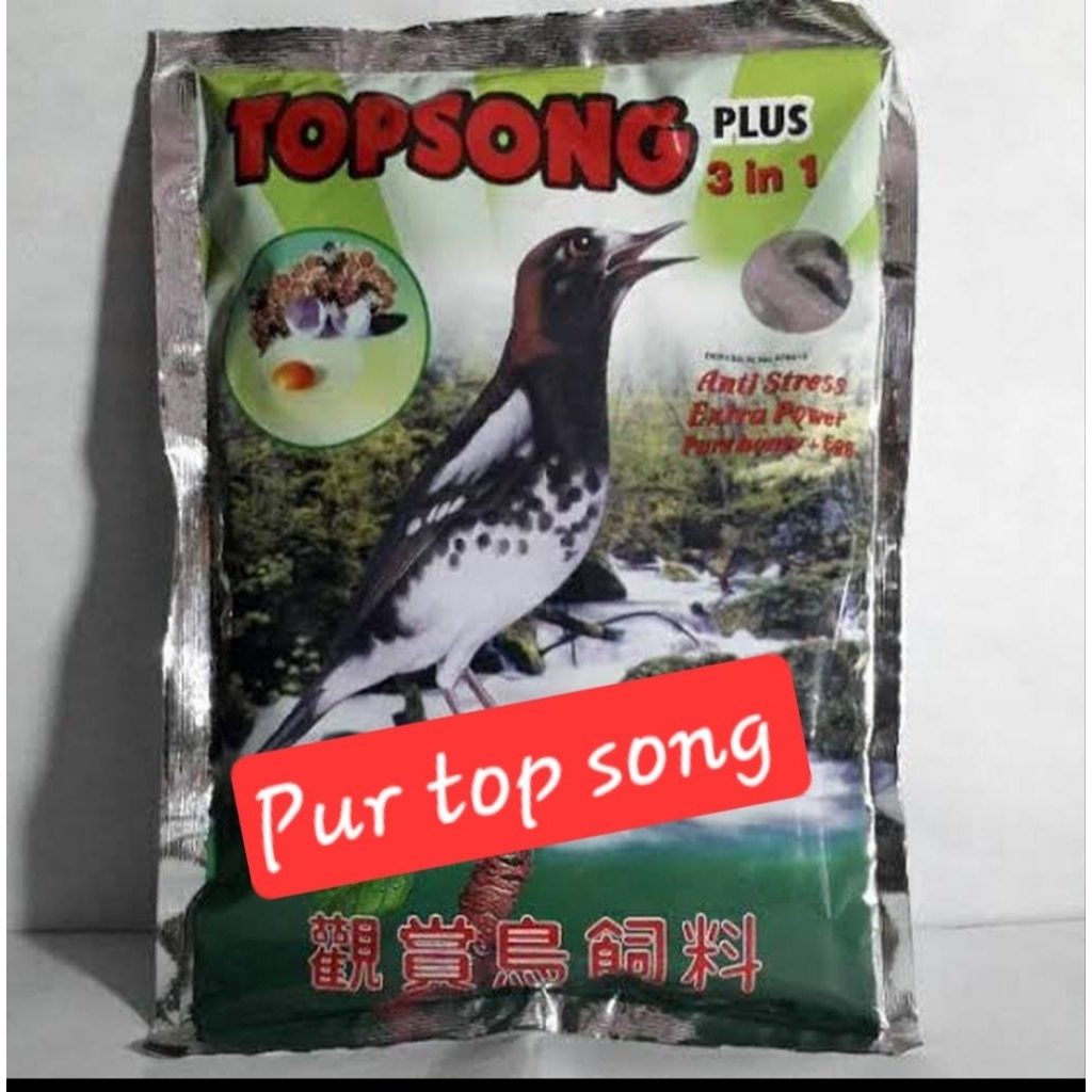pur burung top song voer murai anis kacer jalak