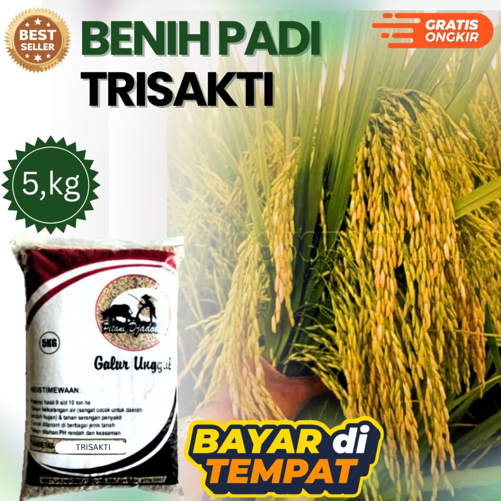 BENIH PADI TRISAKTI KEMASAN 5 kg BENIH PADI SUPER GENJAH HST